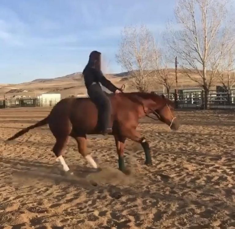 Tuesday Video Bareback and Bridleless Reining HORSE NATION