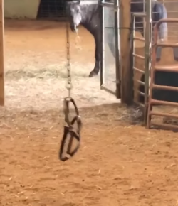 Oh Crap Monday: There’s Something Missing