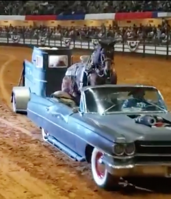 Performance of the Week: Bobby Kerr