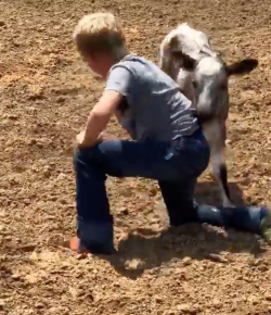 Thursday Video: Barefoot Bullfighting