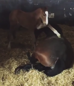 Oh Crap Monday: When You Wish You Could Hit Snooze