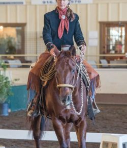 Cowboy Dressage World Summer Show Shines in New Cool Location
