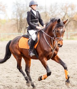 I Am a Rock, I Am an Island: Feelings of Isolation in Horseback Riding