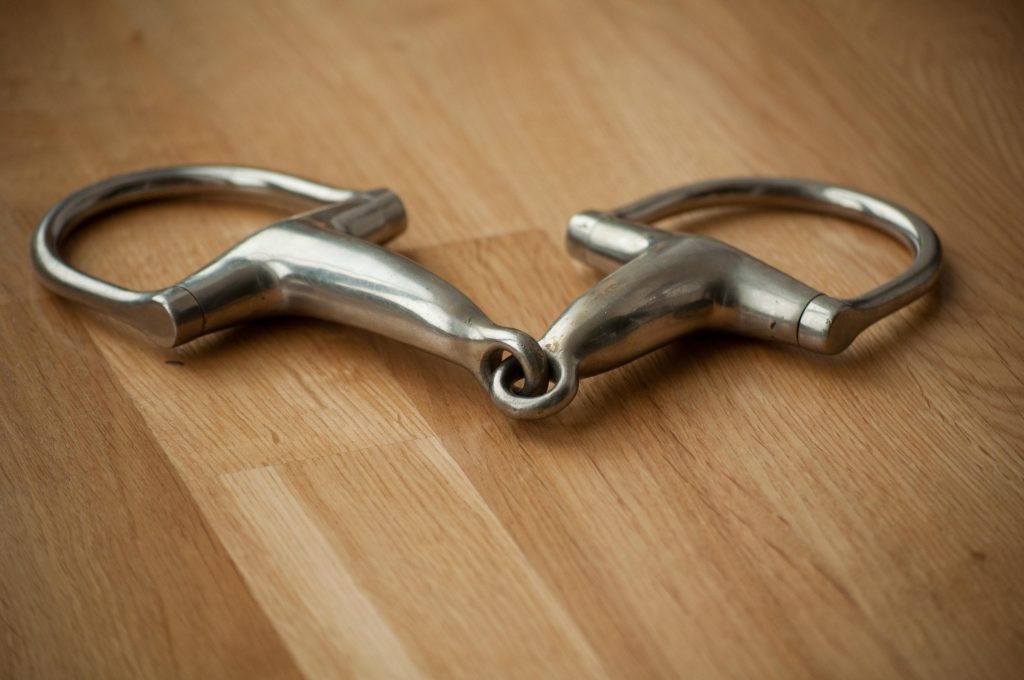 The ‘Correct’ Names of Bits (and Other Tack) HORSE NATION