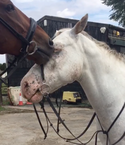 #TGIF: Lending a Hand