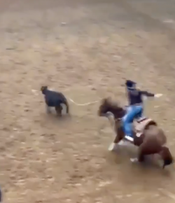 Performance of the Week: Madison Outhier