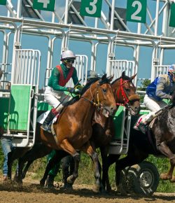 Horse Racing Trainers and Veterinarians Charged in Doping Scheme
