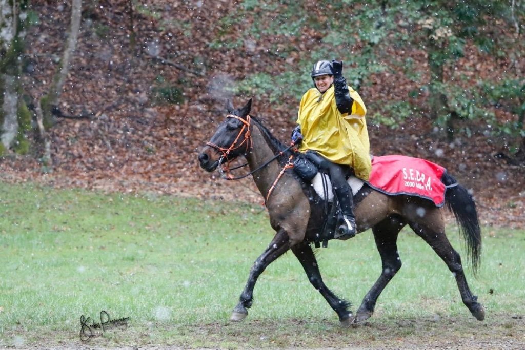 ENDURANCE HORSE NATION