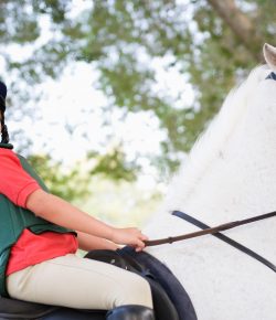 A Letter to My Significant Other: Why I Choose to Put Our Children in Riding Lessons