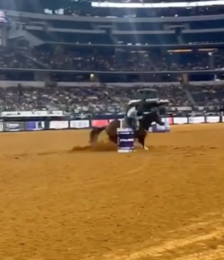 Performance of the Week: Stevi Hillman