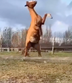 ‘Oh Crap’ Monday: I Get Knocked Down…