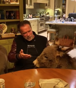 Thursday Video: Follow Arnold’s Advice