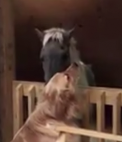 Friday Feels: A Bond Between Friends