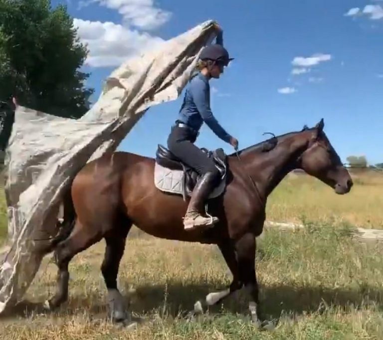 Ecovet Presents Mind Your Melon Bridleless Obstacles HORSE NATION