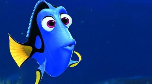 A Fish Called Dory: A Concussion Story