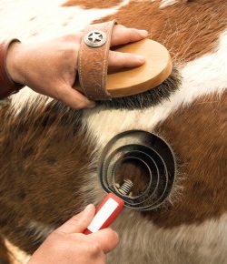 Weekend Wellness: Speeding up the Shedding Process