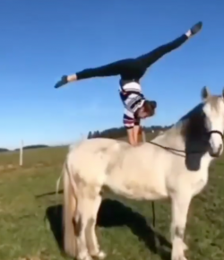 ‘Oh Crap’ Monday: Horse Yoga?