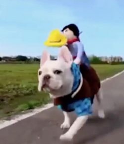 Thursday Video: When You Can’t Ride…