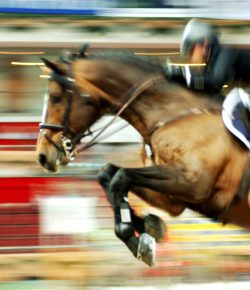 FEI Puts the Kibosh on Virtual Competitions