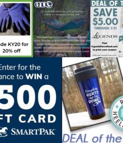 Editor’s Picks: My Top 5 Virtual Vendor Village Deals for Tuesday