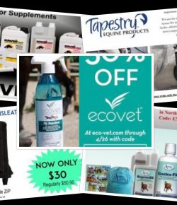 Editor’s Picks: My Top 5 Virtual Vendor Village Deals for Saturday