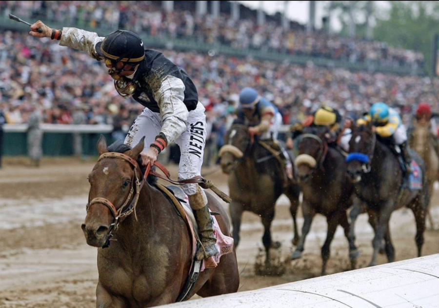Classic Performance of the Week Mine That Bird HORSE NATION