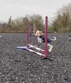 Thursday Video: 2024 Olympic Hopeful