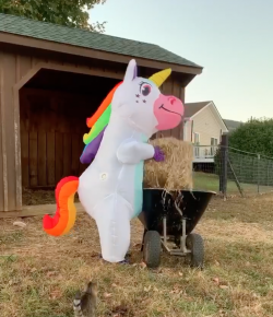 Thursday Video: Know Who You’re Dealing With