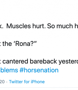 11 #EquestrianProblems According to Twitter