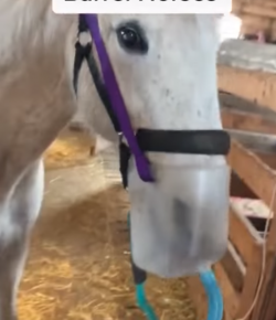 Thursday Video: Maintenance