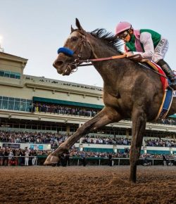 Classic Performance of the Week: Arrogate