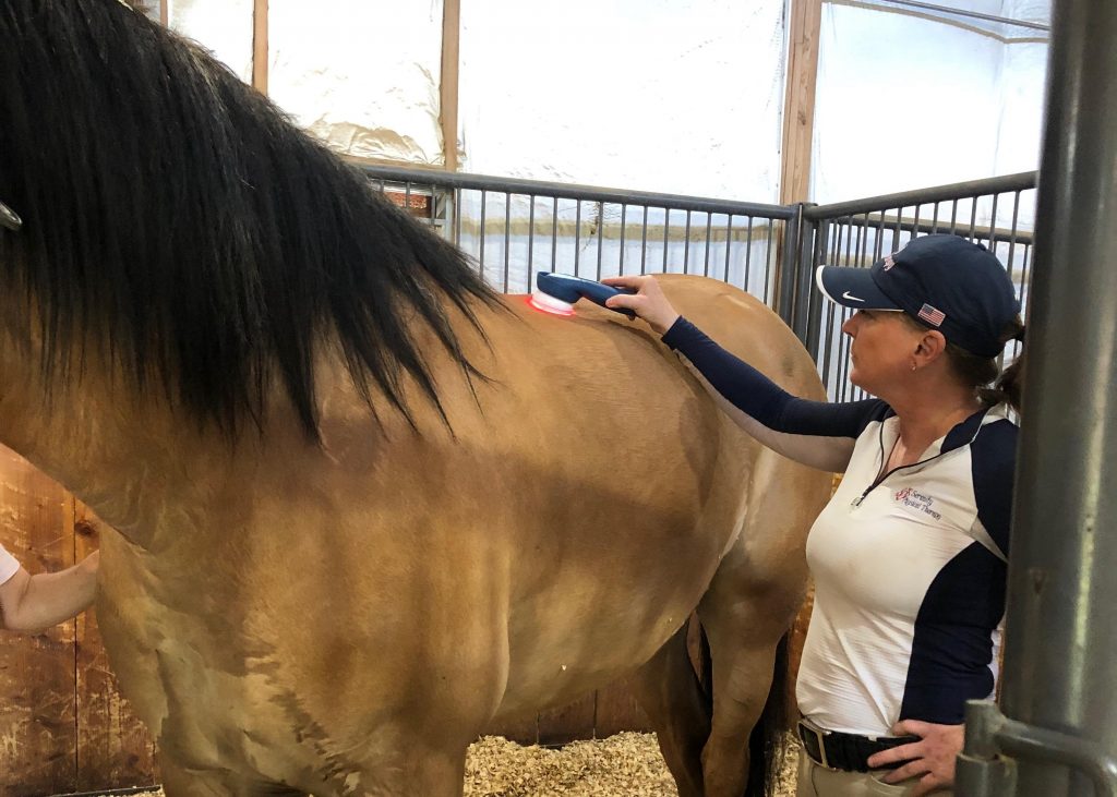 Helping Horses in Harm’s Way HORSE NATION