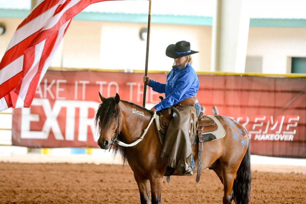 Extreme Mustang Makeover Kentucky Moves to Virtual Format HORSE NATION