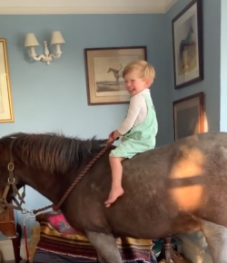 Thursday Video: Just Heading to Bed… on a Pony