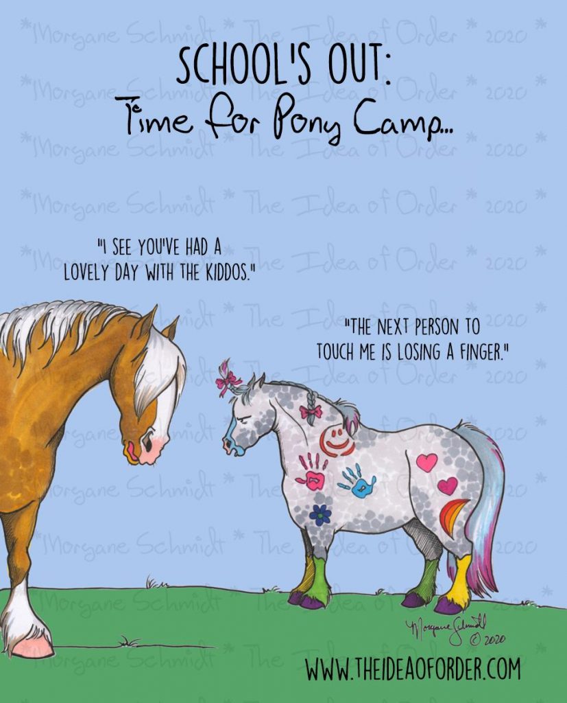 The Idea of Order Pony Camp HORSE NATION