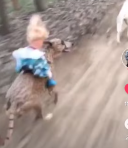 Thursday Video: Annndddd… They’re Off!