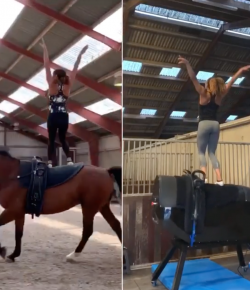 Thursday Video: Venerable Vaulting