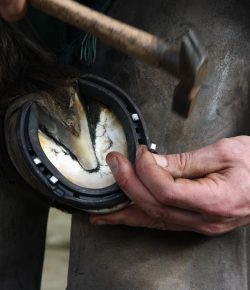 Happy National Farriers Week: Have You Thanked Your Farrier Lately?
