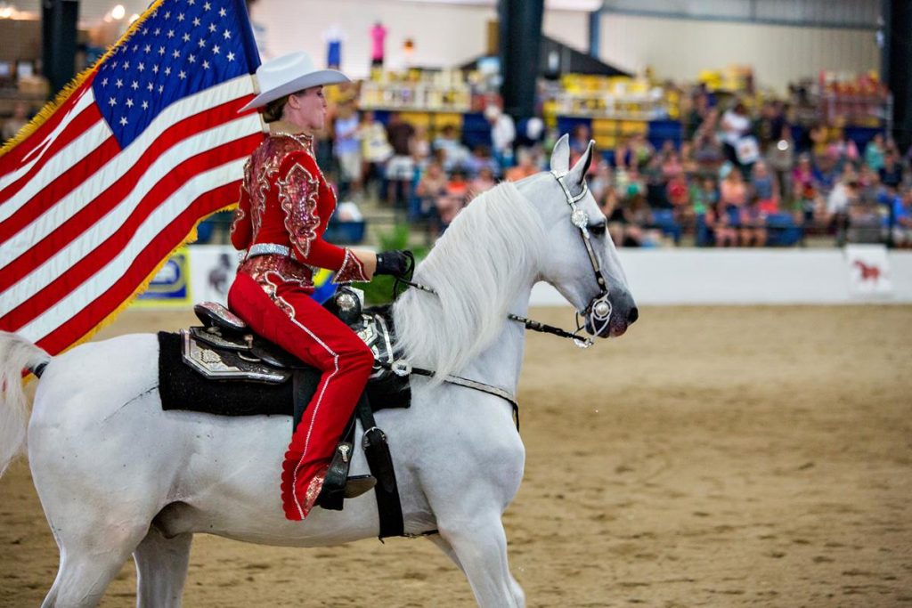 BreyerFest Goes On During COVID19 HORSE NATION