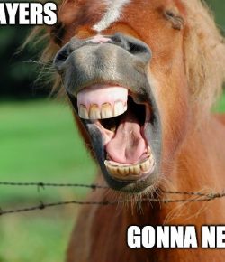 10 MORE Things Equestrians Probably Shouldn’t Admit That We’ve Done