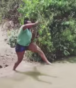 Thursday Video: Different Horse Breeds In Water