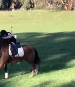 ‘Oh Crap Monday:’ Overachiever