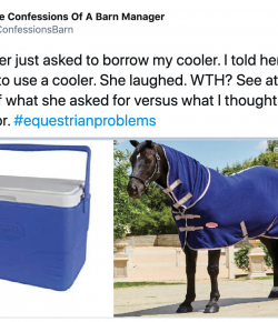 9 #EquestrianProblems According to Twitter