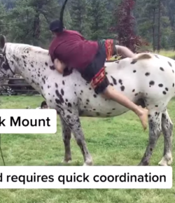 Thursday Video: 6 Ways to Get on Your Noble Steed