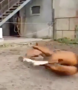 ‘Oh Crap’ Monday: Whoops…