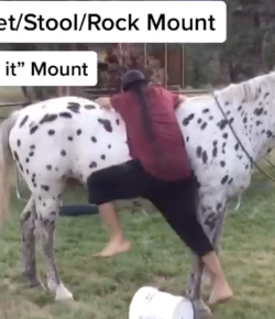 Thursday Video: 6 MORE Ways to Mount Your Horse
