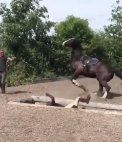 ‘Oh Crap’ Monday: Splash