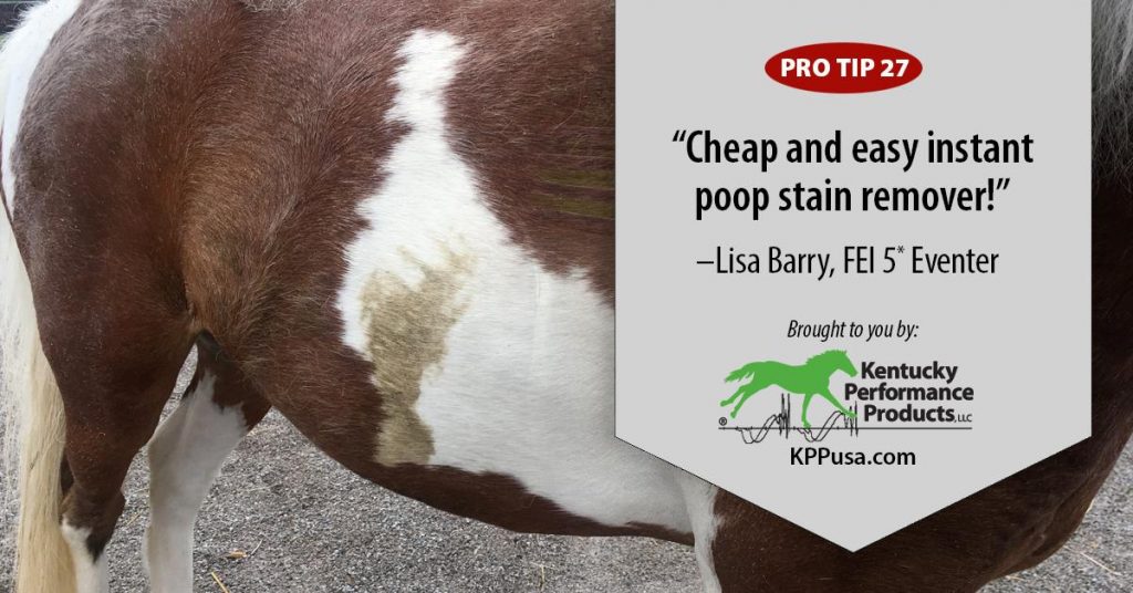 Kentucky Performance Products Instant Poop Stain Remover HORSE NATION