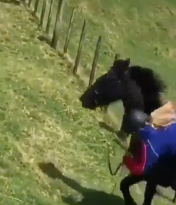 ‘Oh Crap’ Monday: Bad Start