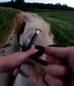 Oh Crap Monday: Broken Brakes